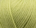 Celery 6234