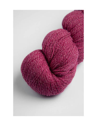 Rose 1103